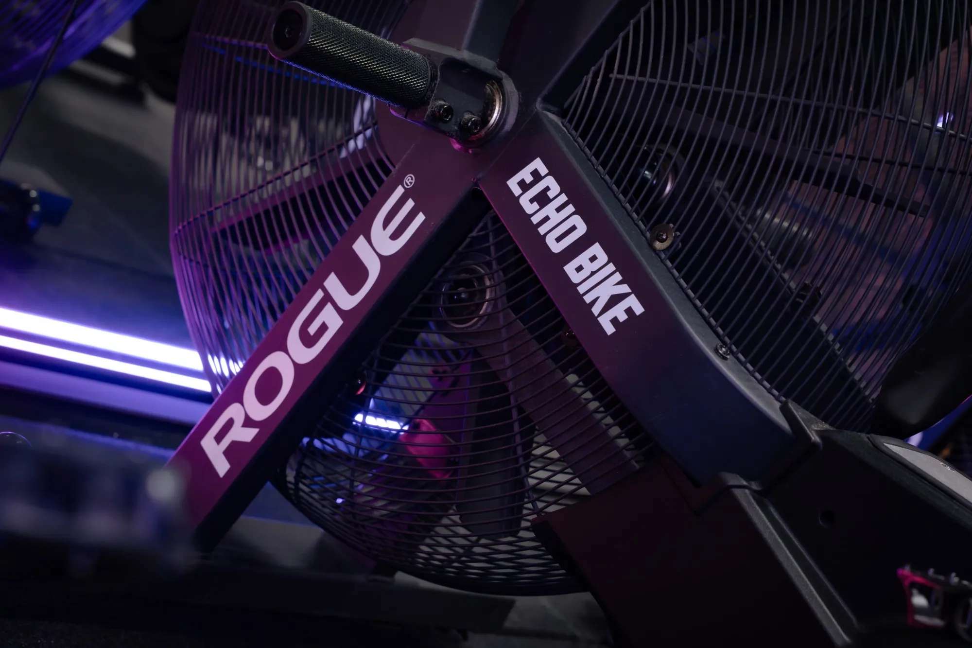 Close-up van een Rogue Echo Bike in de zaal van MOLSPORTS